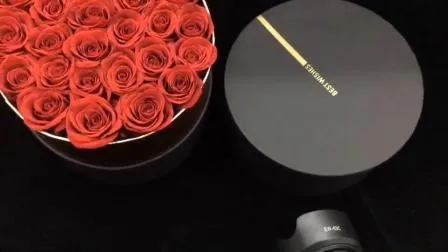 Pittura di fiori eterni di fiori conservati premium all'ingrosso per la decorazione